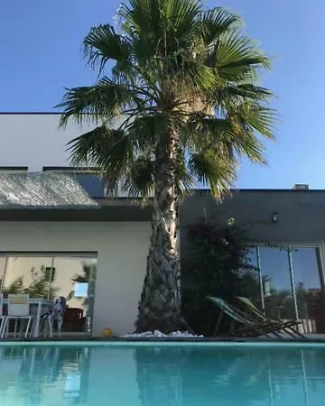 Terra Viva *